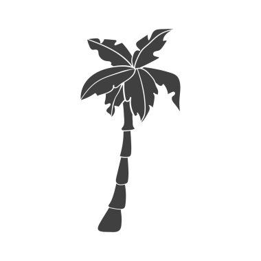 Palmiye ağacı siyah silüeti 
