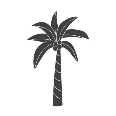 Palmiye ağacı siyah silüeti 