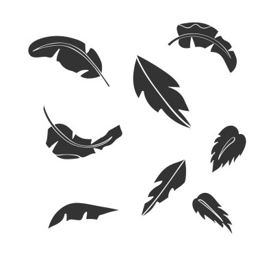 muz ağacı yaprak siluetleri