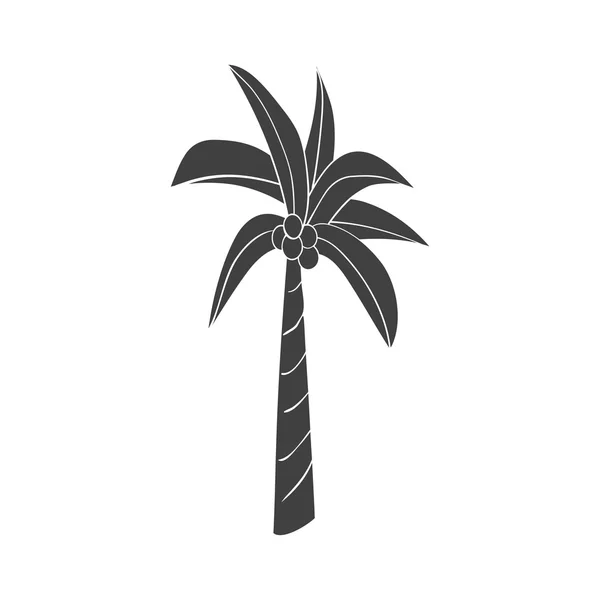 Schwarze Silhouette der Palme — Stockvektor