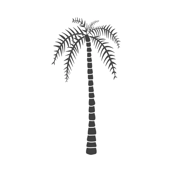 Silhouette noire de palmier — Image vectorielle