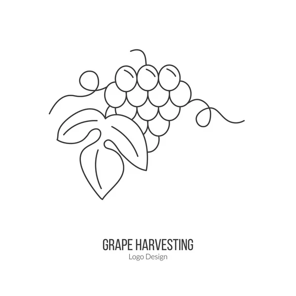 Winemaking, wine tasting logotype design concept — Stok Vektör