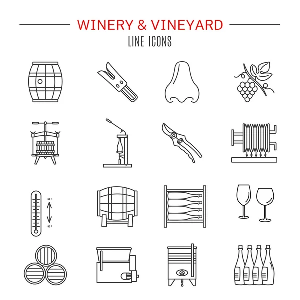 Winemaking, wine tasting graphic design concept — Stock Vector