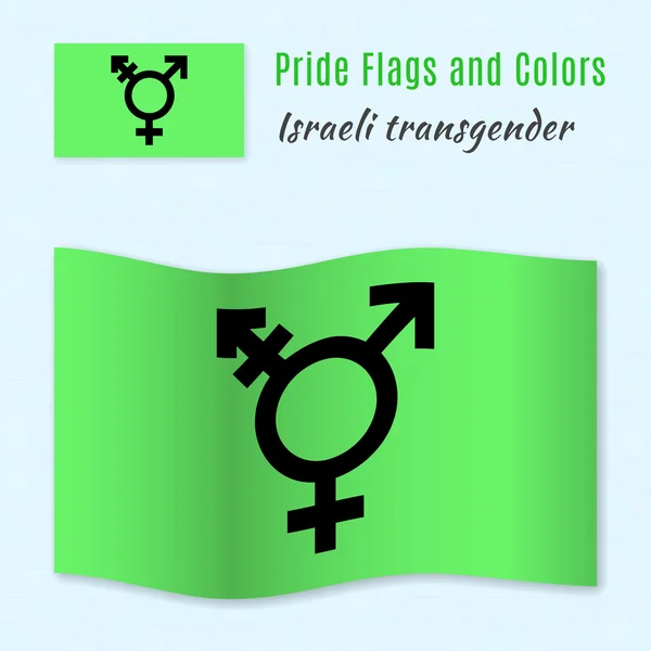 Israeliano transgender e genderqueer orgoglio bandiera con corretto colo — Foto Stock