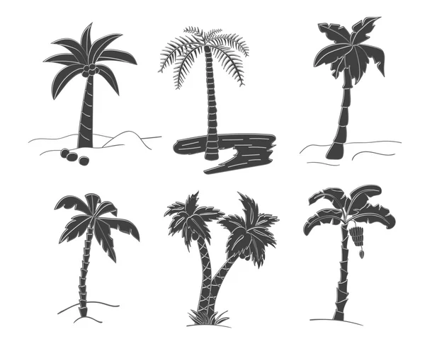 Silhouettes de palmiers dessinés à la main . — Image vectorielle