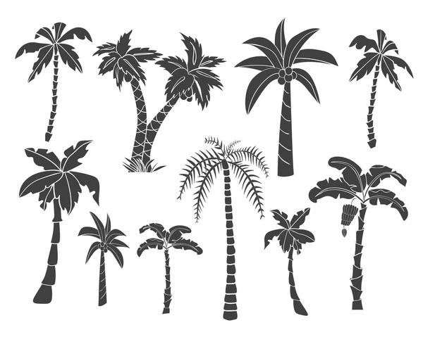 Siluetas de palmeras dibujadas a mano . — Vector de stock