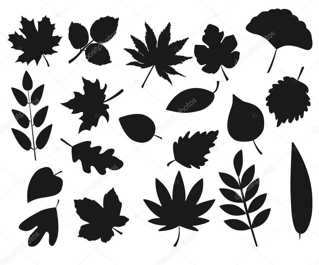 Collection of leaf silhouettes Stock Vector Image by ©Sunshine_Art ...