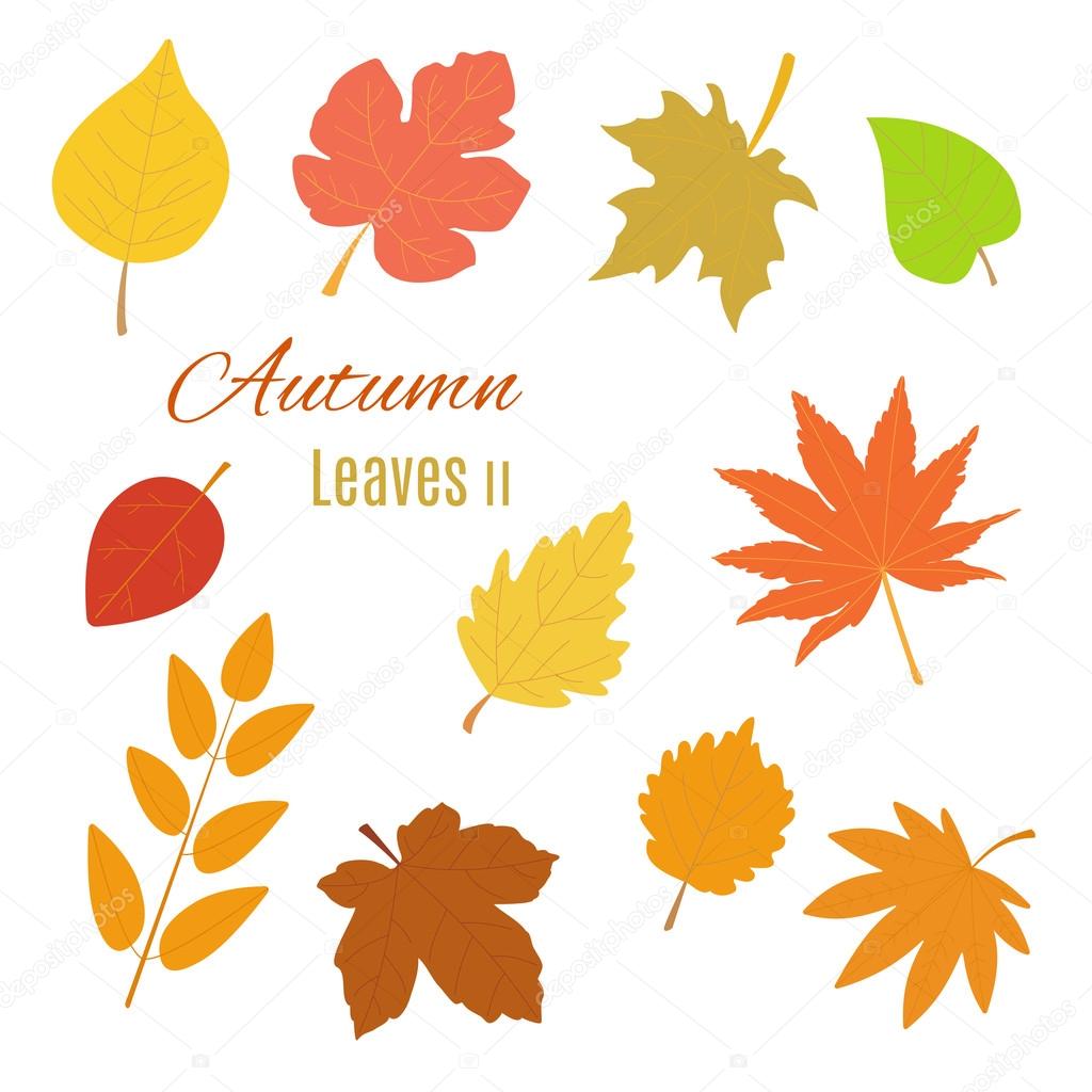 Realistic autumn leaves