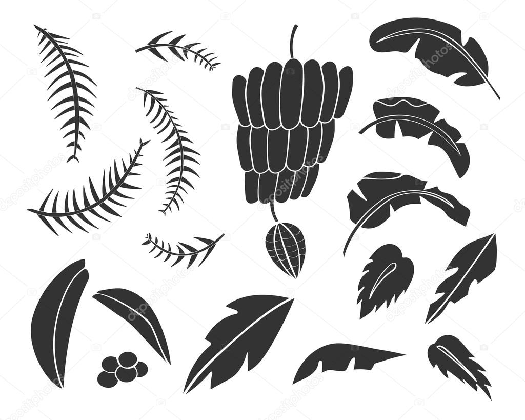 Vector set of black silhouettes of tropical leaves, palm trees, foliage. Hand drawn design elements of a tropical nature. Stylized images and simple shapes for logos and natural decor.