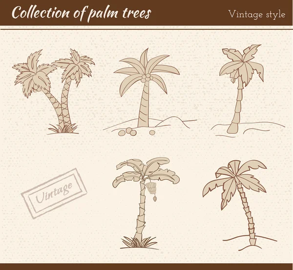 Contorno palmeras conjunto — Archivo Imágenes Vectoriales