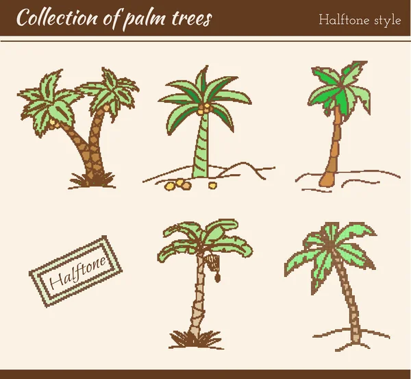 Overzicht palm bomen set — Stockvector