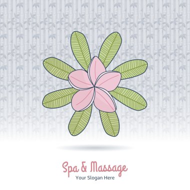 Hand drawn frangipani, plumeria