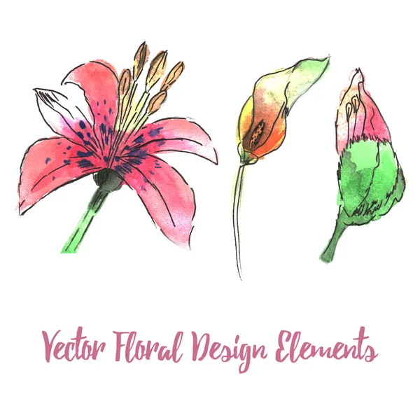 Elementos de diseño floral acuarela — Vector de stock