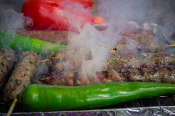 Se cocinan diferentes tipos de carne en la parrilla — Foto de Stock