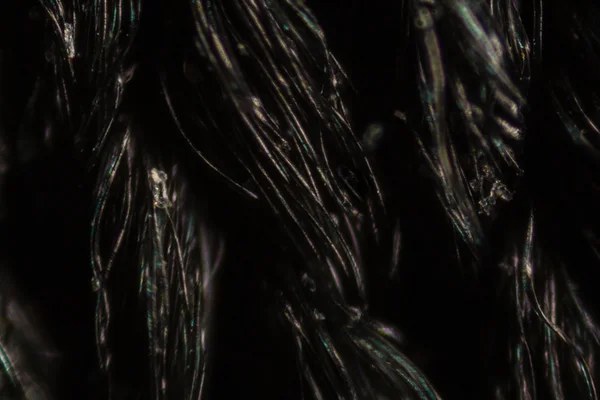 Черные волокна ткани нейлоновой сетки под микроскопом — стоковое фото