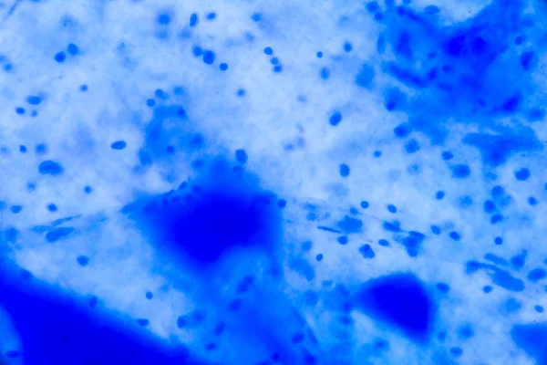 Cellule nerveuse au microscope - Pois bleus abstraits sur ba blanc — Photo