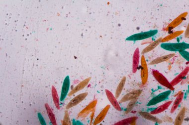 Terliksi hayvan caudatum mikroskop - co soyut şekiller altında