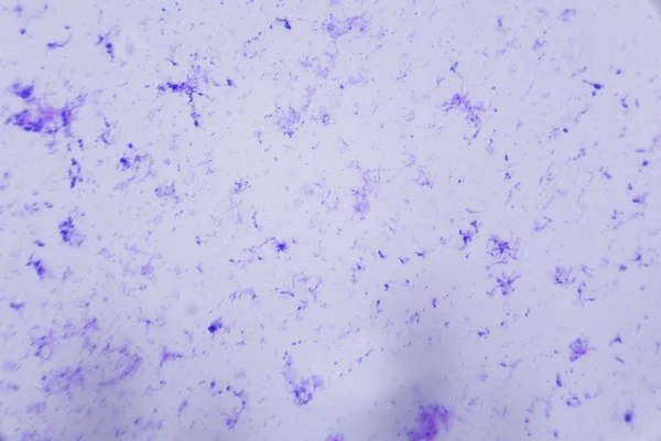 Célula nerviosa bajo el microscopio - Puntos azules abstractos en ba blanca —  Fotos de Stock