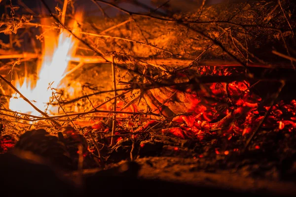 Fechar de um fogo com galhos — Fotografia de Stock