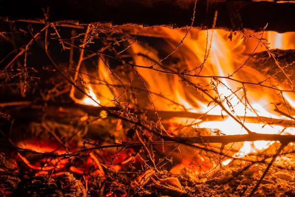 Fechar de um fogo com galhos — Fotografia de Stock