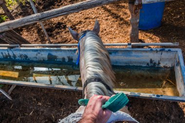 At içecekler su bir su deposu - Rider ilk kişi pov