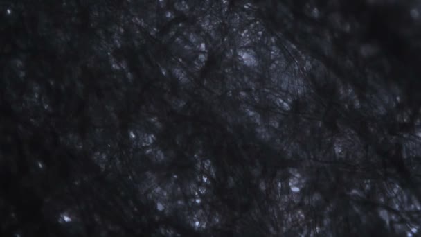 顕微鏡下のティッシュペーパー繊維 — ストック動画