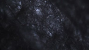 Mikroskop altında doku kağıdı lifleri