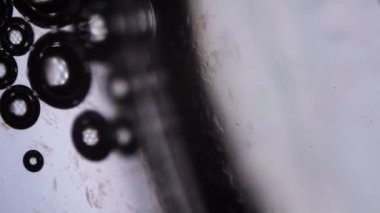 Mikroskop altında su kabarcıkları