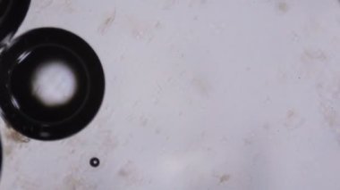 Mikroskop altında su kabarcıkları