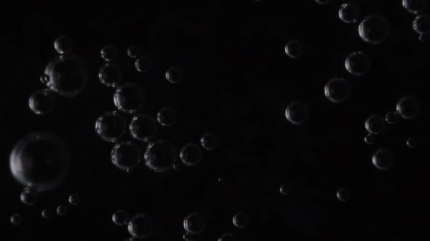 Bulles d'eau au microscope 
