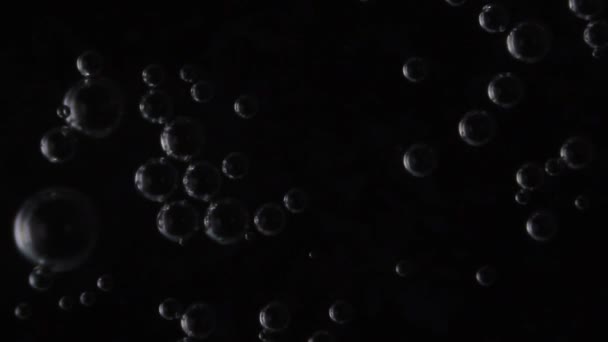 Burbujas de agua bajo el microscopio — Vídeo de stock