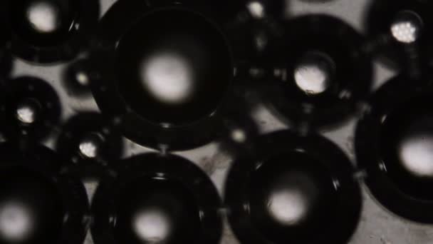 Пузырьки воды под микроскопом — стоковое видео