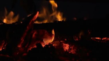 Günlük ahşap ve twigs geceleri yanma ile kamp ateşi closeup