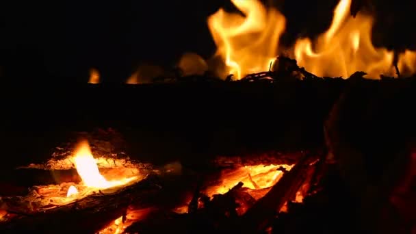 Gros plan du feu de camp avec du bois rond et des brindilles la nuit - Mouvement lent — Video