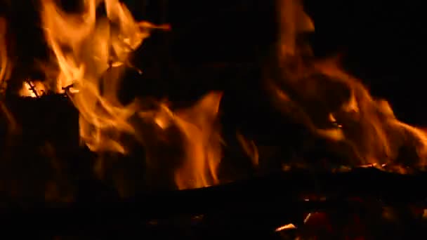 Closeup táborák s hořící dřevo protokolu a větvičky v noci - Zpomalený pohyb — Stock video