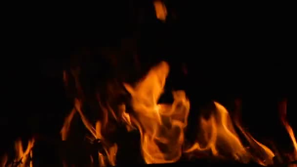 Lagerfeuer mit brennendem Holz und Zweigen in der Nacht — Stockvideo