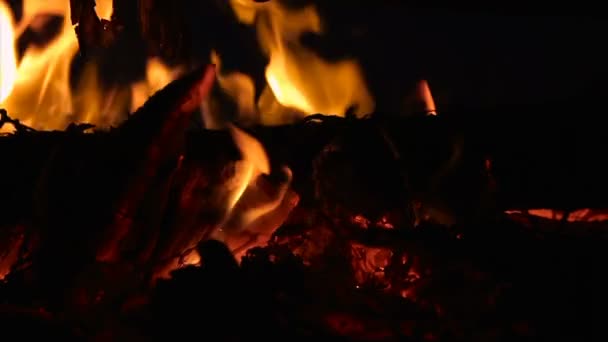 Nahaufnahme eines Lagerfeuers mit brennendem Holz und Zweigen in der Nacht - Zeitlupe — Stockvideo