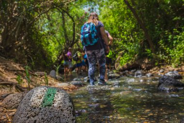 Orman akışında araç backpackers Grup