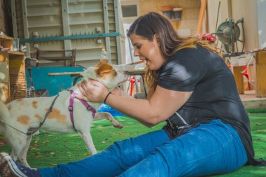 Genç kadın oyun ile jack russell terrier köpek bahçede