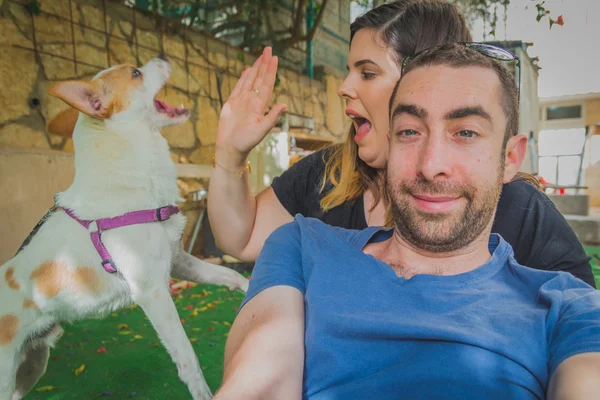 Brincalhão e animado jack russell terrier cão surpresa e interromper para jovem casal que estão tentando ser fotografado — Fotografia de Stock