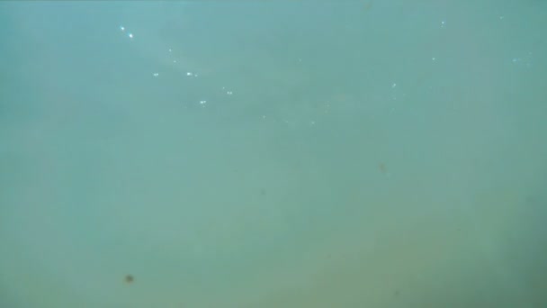 Vue de la scène sous-marine avec des rayons de lumière naturelle brillant à travers l'eau scintillant 