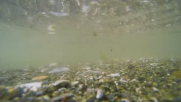 Split schot tonen boven en onder het waterniveau van brekende golf rollen op een stenige strand in de zee van Galilea in Israël — Stockvideo