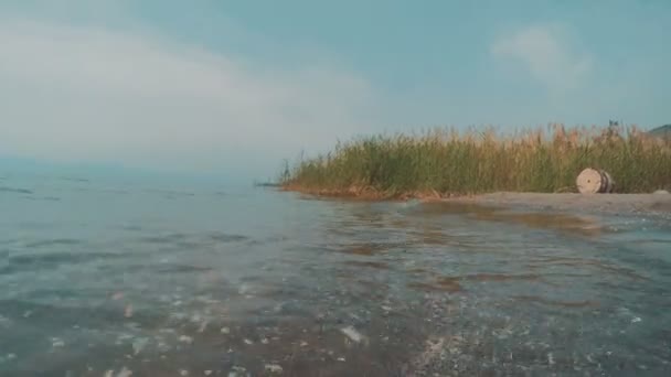 Mar de Galilea orilla con guijarros y plantas en el día de verano — Vídeo de stock