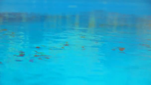 Hermosa refrescante agua de la piscina azul — Vídeo de stock