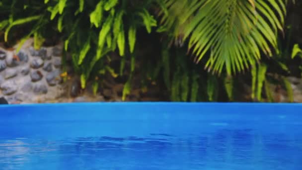 Belle eau de piscine bleue rafraîchissante dans le jardin 