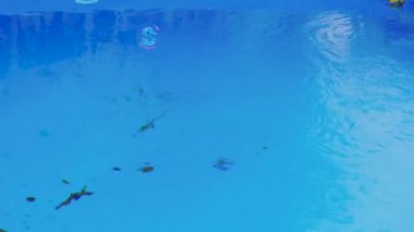 Sabun kabarcıkları bir yüzme havuzu üzerinde sinek ve su üzerinde atlama