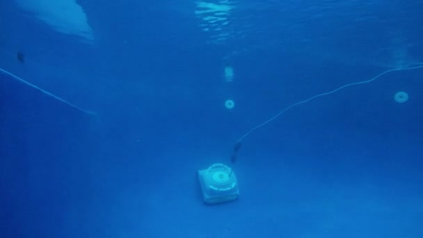 Underwater shot of automatic swimming pool cleaner robot — Stock Video