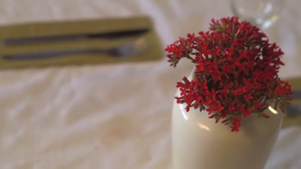 Мужчина бросает вазу с красными цветами со стола — стоковое видео