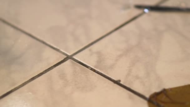 Vin rouge versé d'une bouteille qui roule sur le sol 