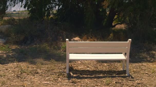 白色长凳放在农村地区 — 图库视频影像